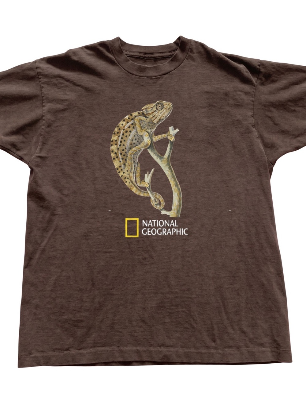 Gildan National Geographic Brown Chameleon Graphic Tee
